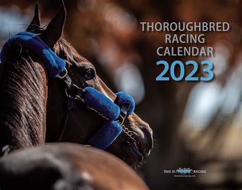 bbc horse racing calender|british horse racing calendar 2022.